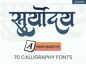 IndiaFont V3 software Diamond Package with 70 Hindi Marathi Calligraphy Fonts