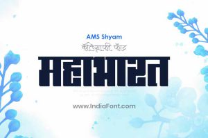 AMS Shyam Publication Font