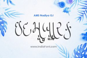 AMS Nadiya